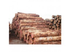 临桂收购松木企业一览表