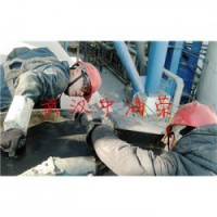 武汉中海荣特焊科技轮带修复服务