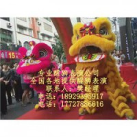 南京开业醒狮，南京舞狮表演，南京舞龙舞狮