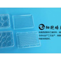 上海百千生物J00960平底无菌透明一次性96孔细胞培养板