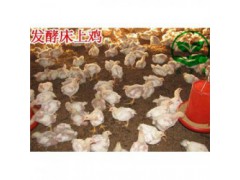 发酵床养鸡用什么牌子的菌种 多少钱一盒