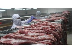 深圳盐田国外进口冻品肉类国际运输报关清关流程